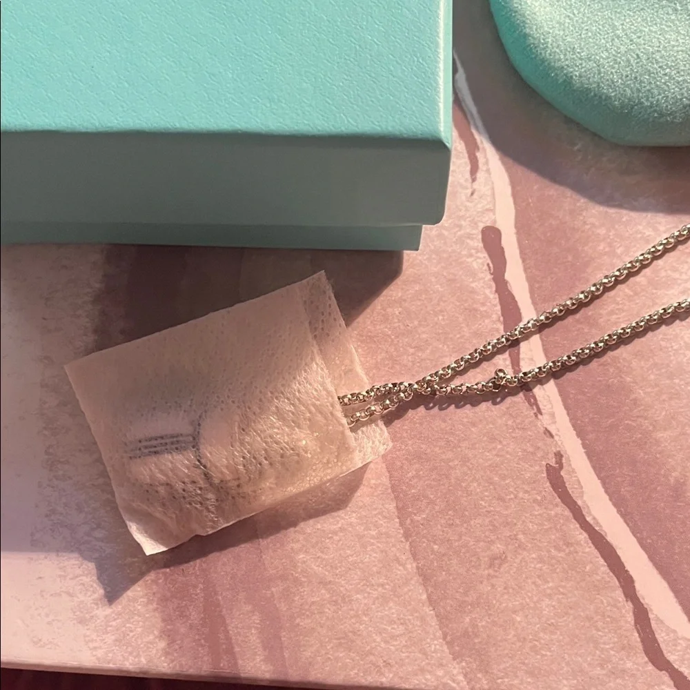 Tiffany & Co. Silver Scarab necklace NO LONGER MADE RARE
